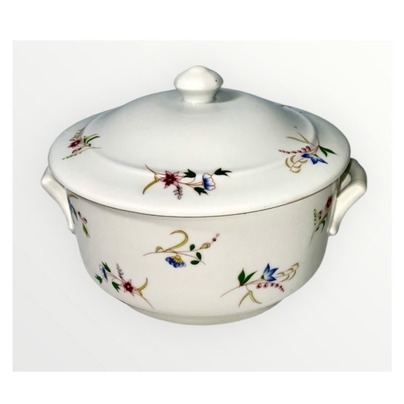Cordon Bleu France Floral Porcelain Covered Lidded Casserole Dish 10”X8” - Picture 1 of 12